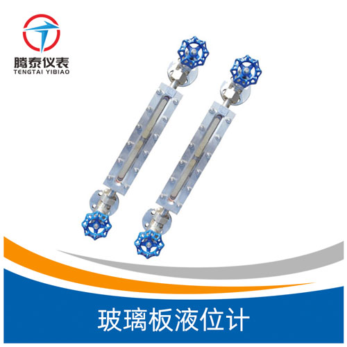 玻璃板液位計(jì) 玻璃板液位計(jì)